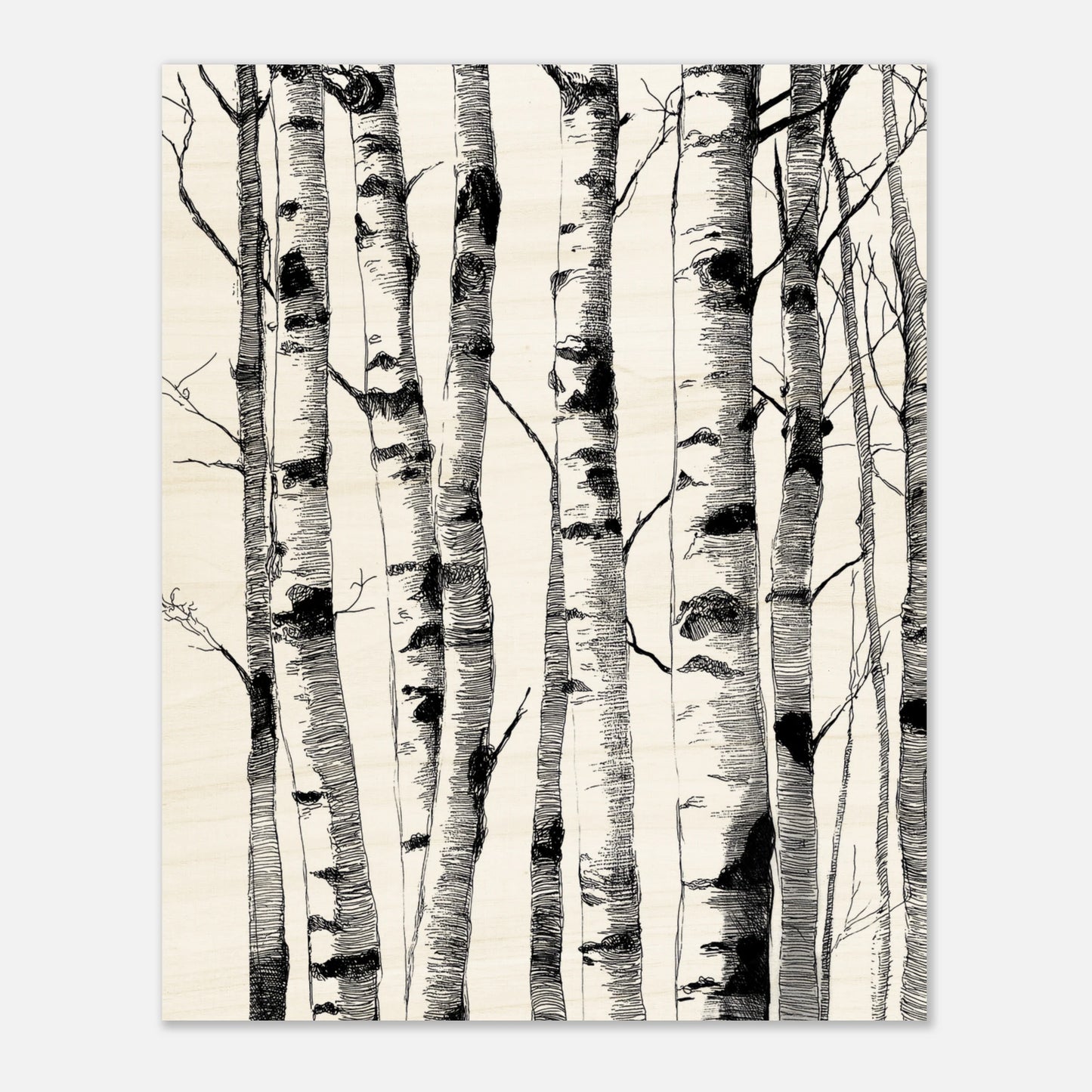 937c5e72-15a2-4a47-942c-84244fbd505d