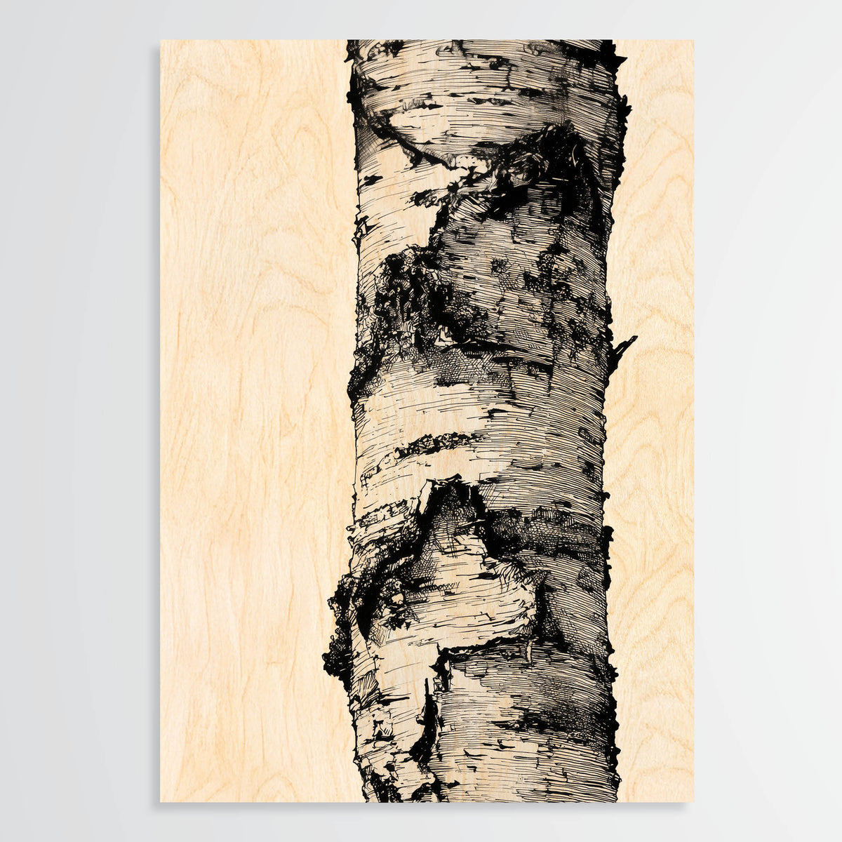 Birch Bark - Wood Print