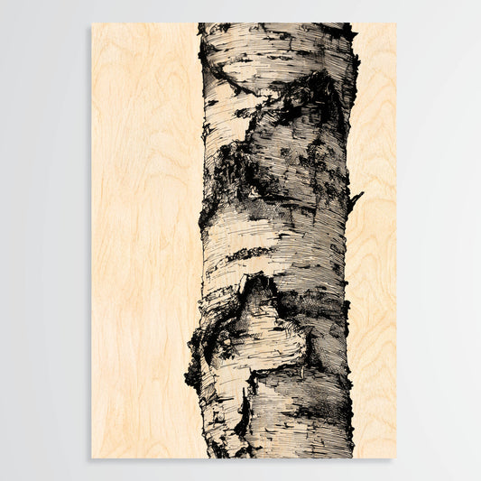 Birch Bark - Wood Print