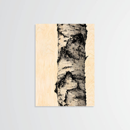 Birch Bark - Wood Print