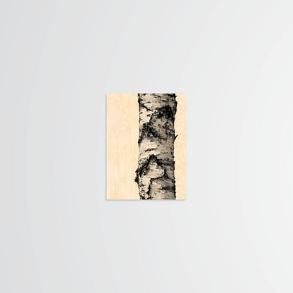 Birch Bark - Wood Print