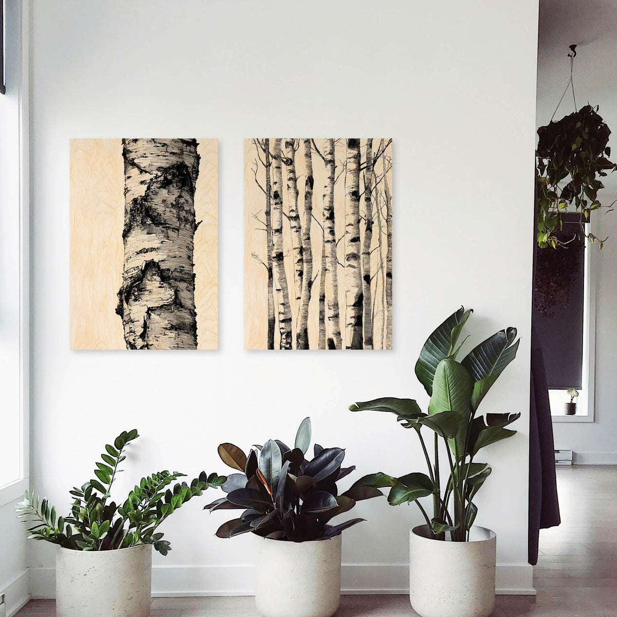 Birch Bark - Wood Print