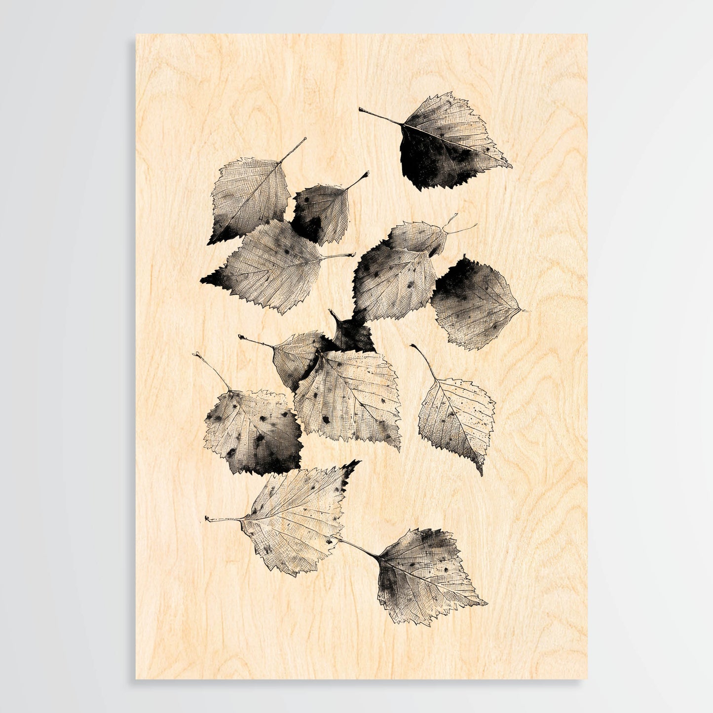 Birch Leaves - Wood Print