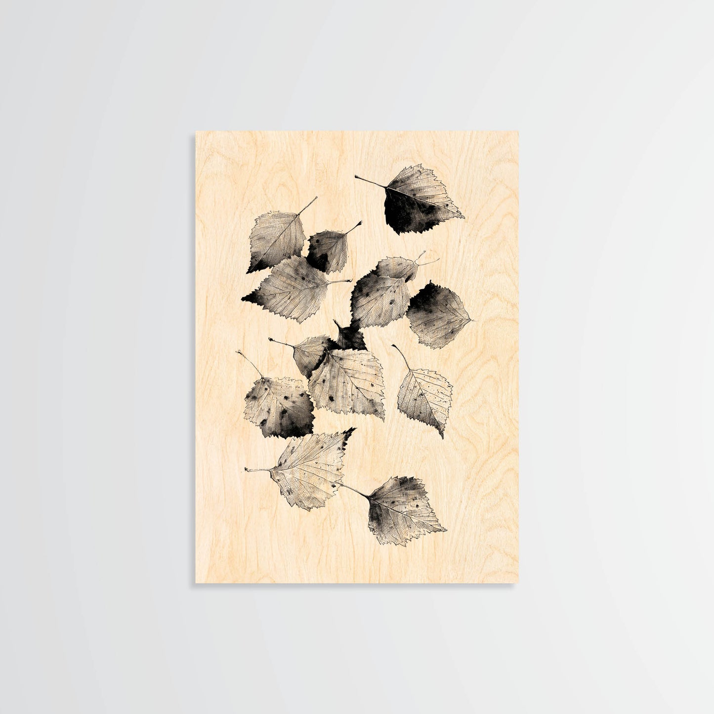 Birch Leaves - Wood Print
