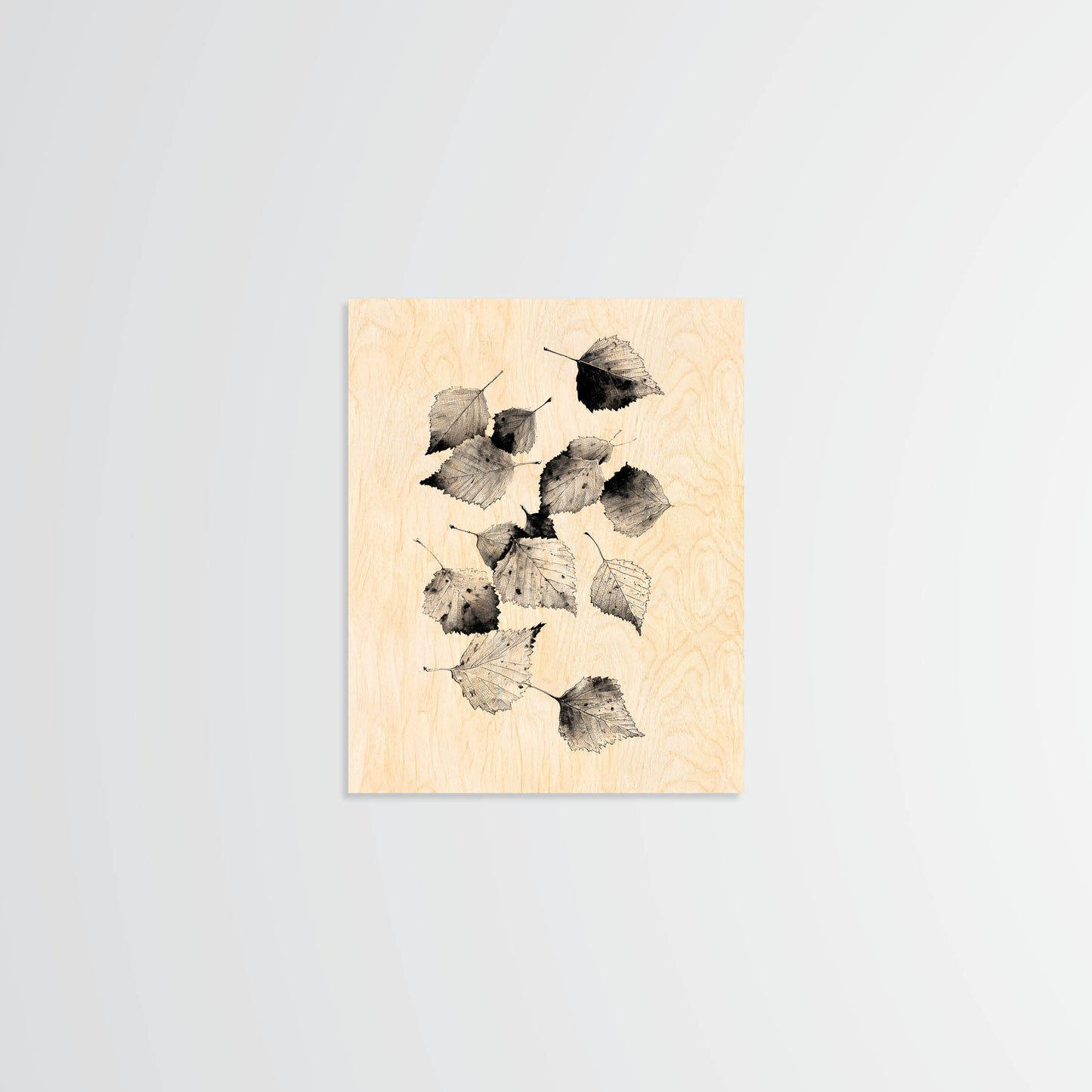 Birch Leaves - Wood Print