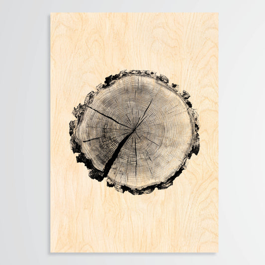 Birch Stump - Wood Print
