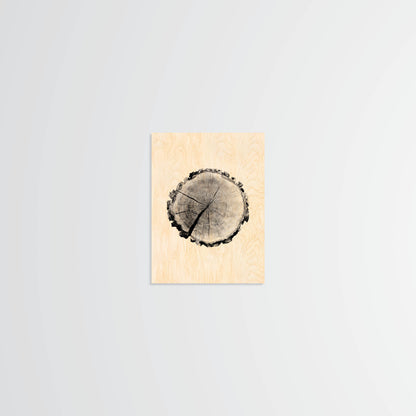Birch Stump - Wood Print