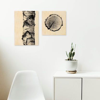 Birch Stump - Wood Print