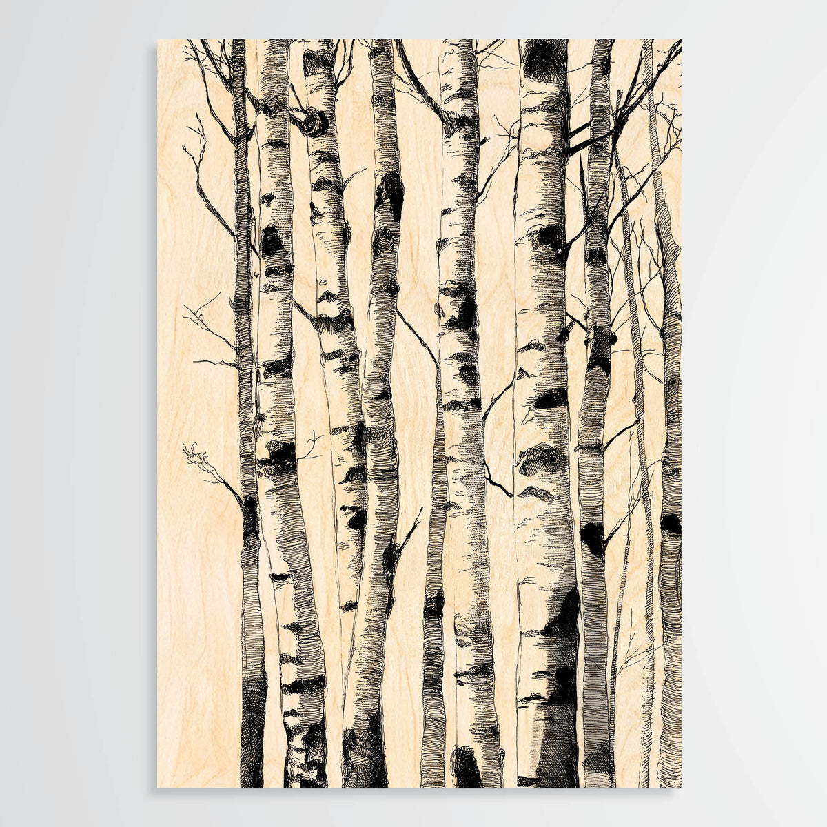 Birch Trunks - Wood Print