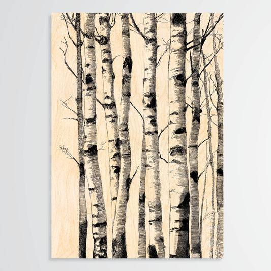 Birch Trunks - Wood Print