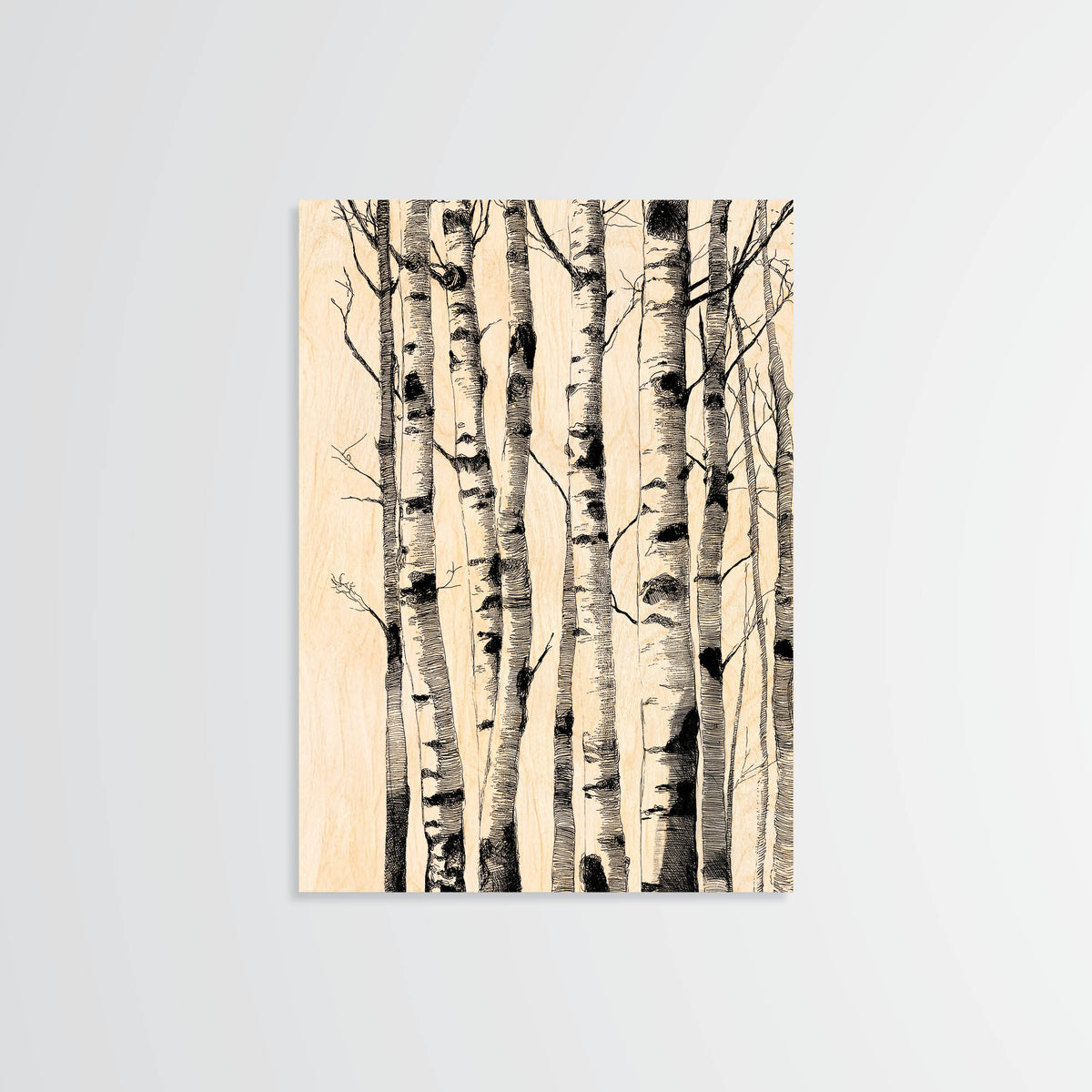Birch Trunks - Wood Print