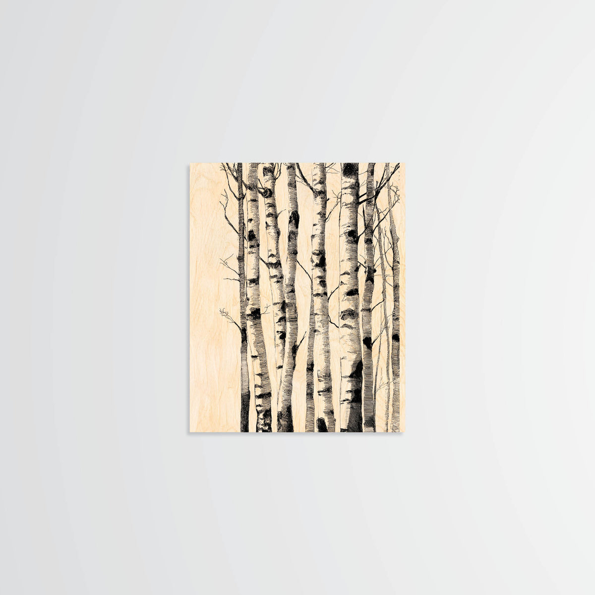Birch Trunks - Wood Print