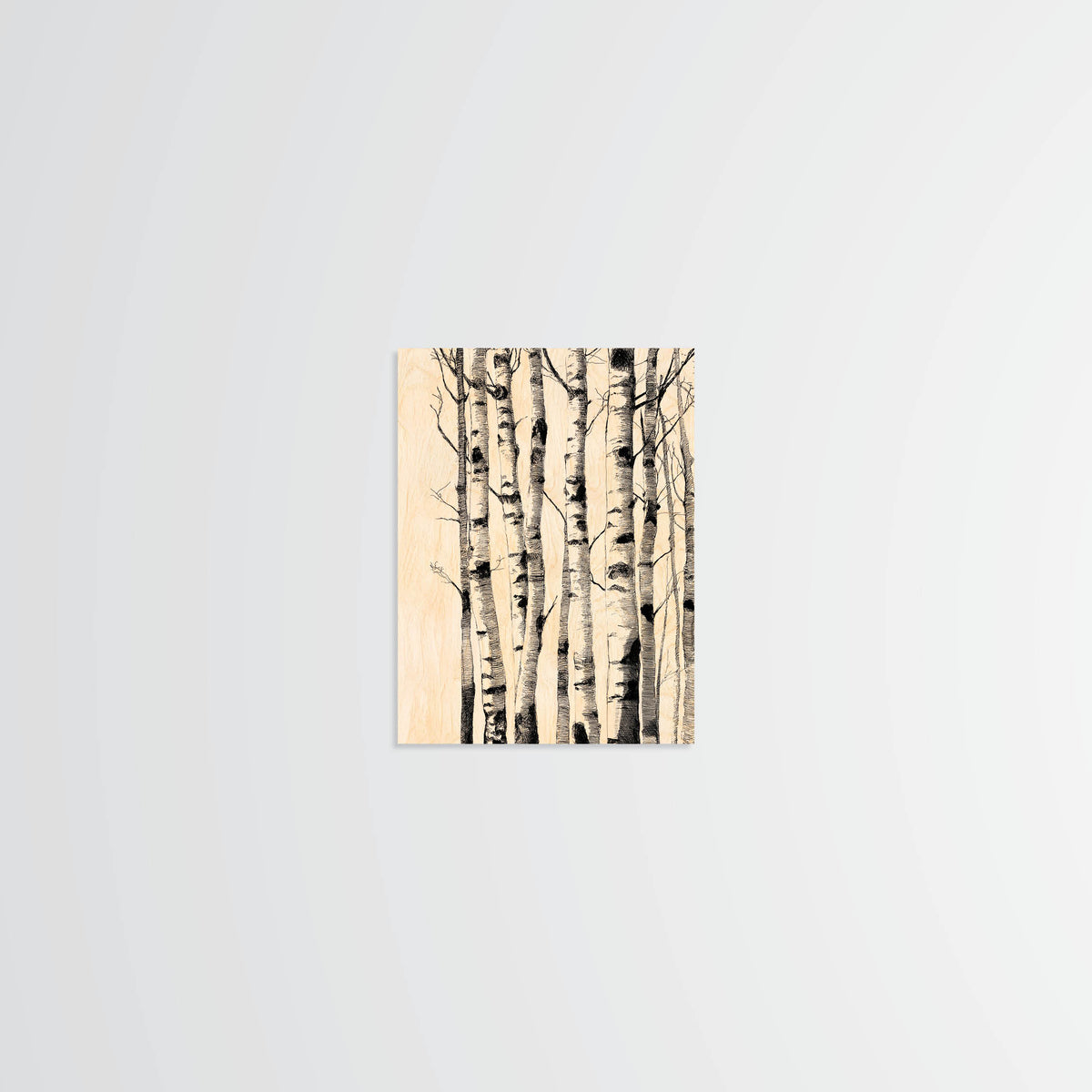 Birch Trunks - Wood Print