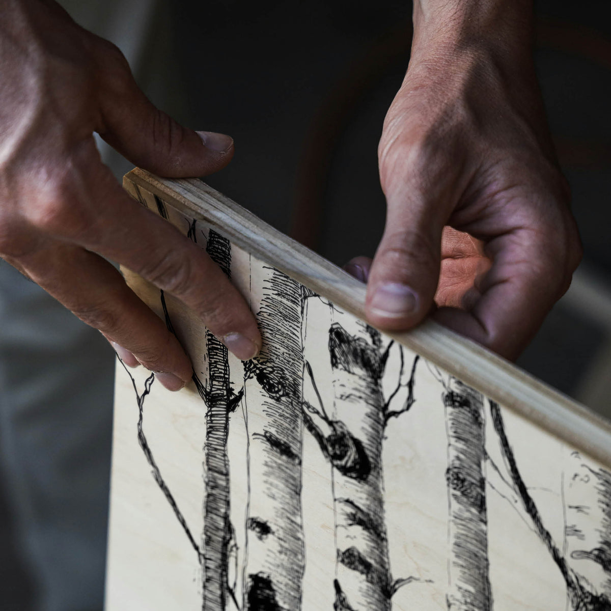 Birch Trunks - Wood Print