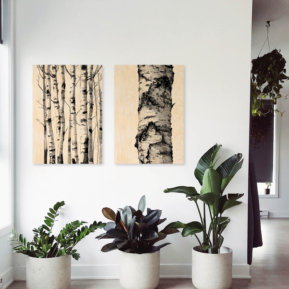Birch Trunks - Wood Print