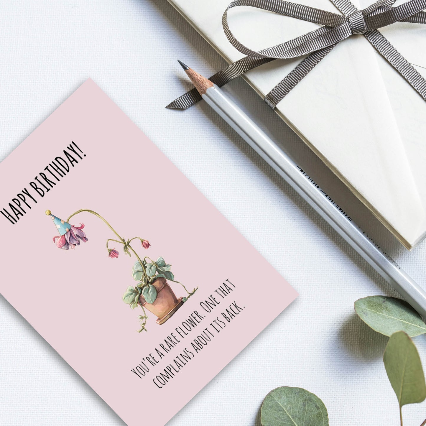 Birthday Card Set 1 - Mildly Offensive - 4 cards